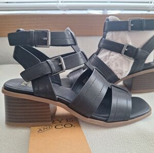 FRYE AND CO Black Heeled Shoes with Modern Elegance